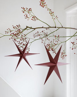  Kerstster set van 2 rood Delight Department
