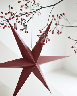  Kerstster set van 2 rood Delight Department