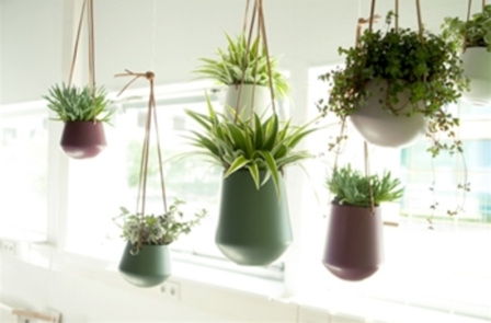 Hanging pot Skittle Present Time Roze