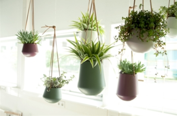 Hanging pot Skittle Present Time Roze